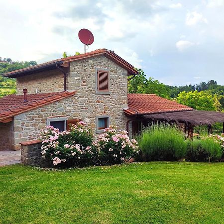Podere Verdi Colline 포피 외부 사진