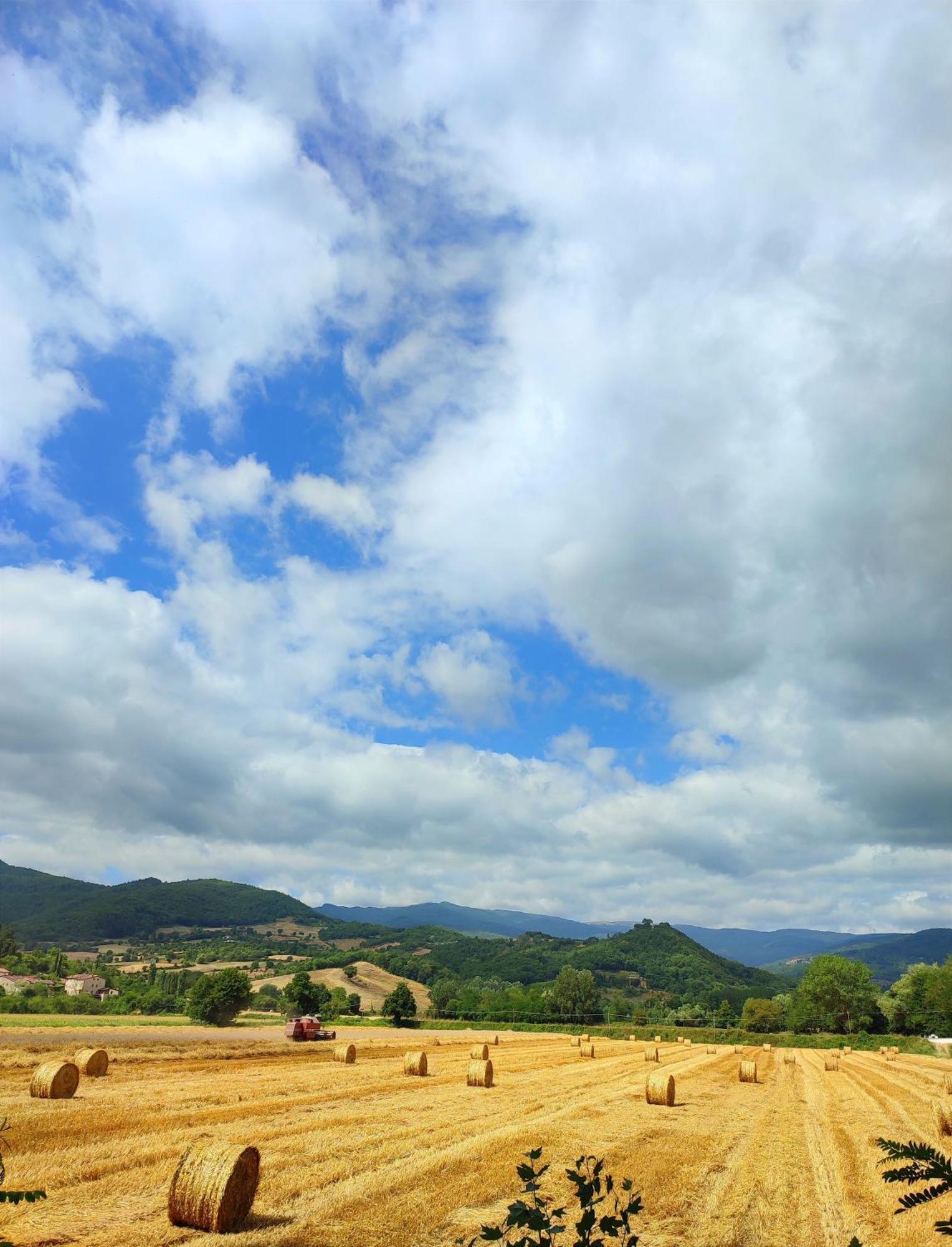 Podere Verdi Colline 포피 외부 사진