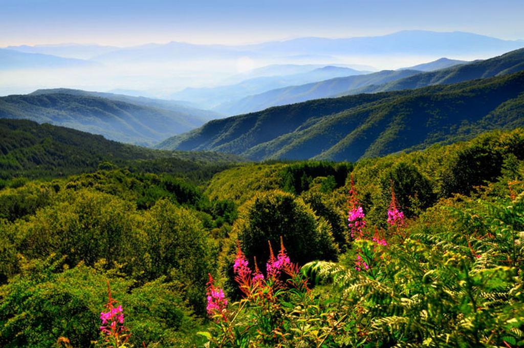 Podere Verdi Colline 포피 외부 사진